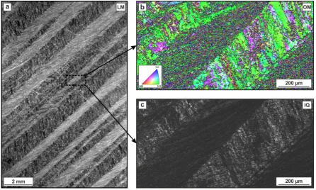 Figure 12. Microstructure after heterogeneous deformation by one pass of ECAP of a severely coldworked conventional 6000 series aluminum alloy