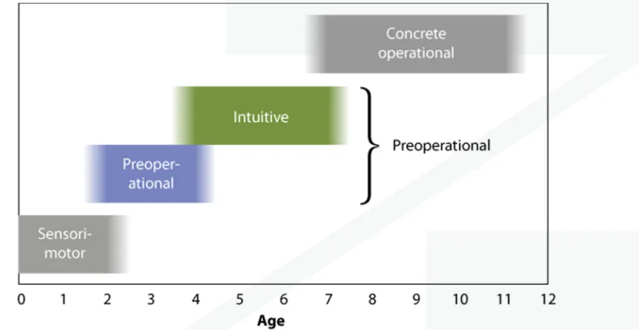 Figure 5. Piaget's Stages of Cognitive Development (Gage & Berliner, 1998) 