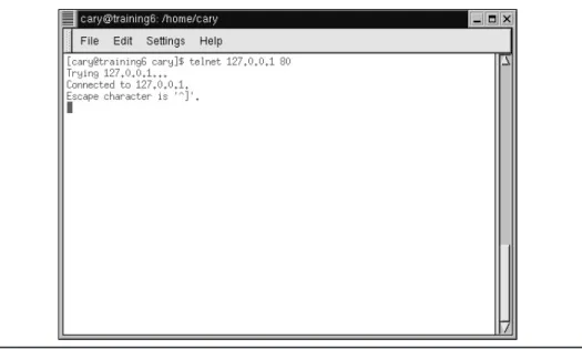 Figure 21-1 Starting a simple Telnet client and connecting to the local Web server