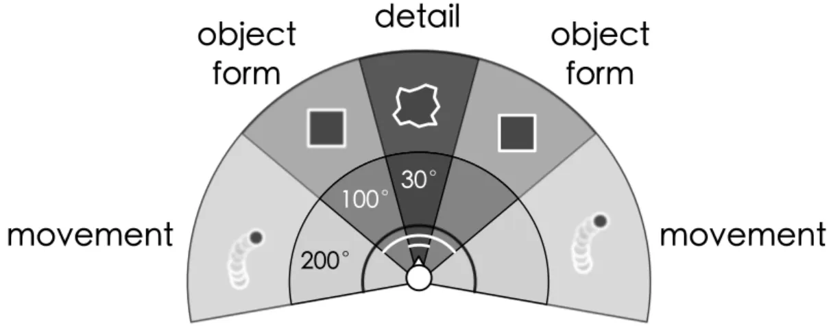 Figure 2.1: Horizontal perception model of a normal human. View from the top.