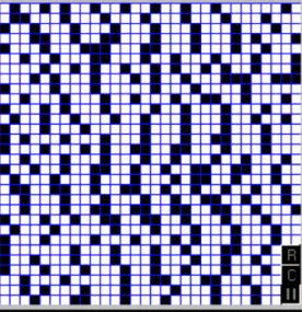 Figure 2.4: Cellular Automaton during Pedestrian Simulation [BA00]
