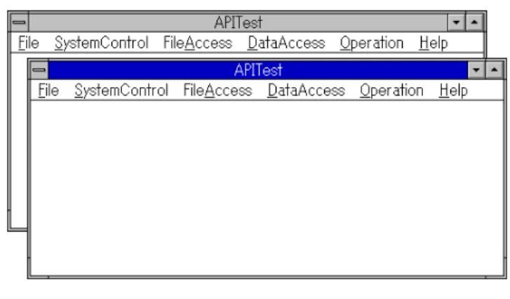 Fig. 4-5  Main windows when API Test has been started twice.