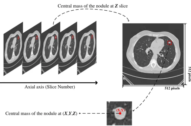 Figure 2.1: Description of the spatial coordinate of a malignant nodule labeled by the six radiologists from LUNGx group