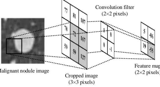 Figure 2.5: An example of convolutional layer to extract features within local region of the cropped image