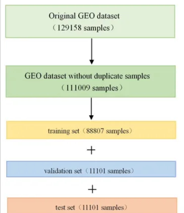 FIGURE 1 | Division of Gene Expression Omnibus (GEO) dataset. Firstly,  we removed the duplicate samples from the original GEO dataset, and then  divided it into training set, validation set, and test set in a scale of 8:1:1 after  randomly shuffling.