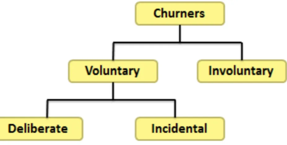 Figure 1- Customer Churn Types 