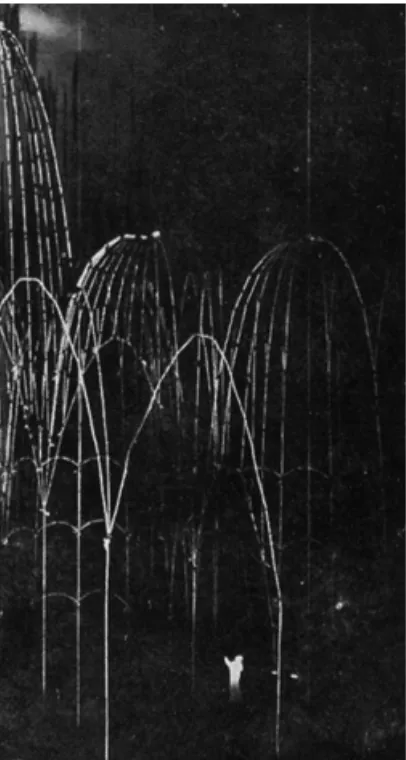 Fig. 8. Detail of Upside-down photograph of the first 