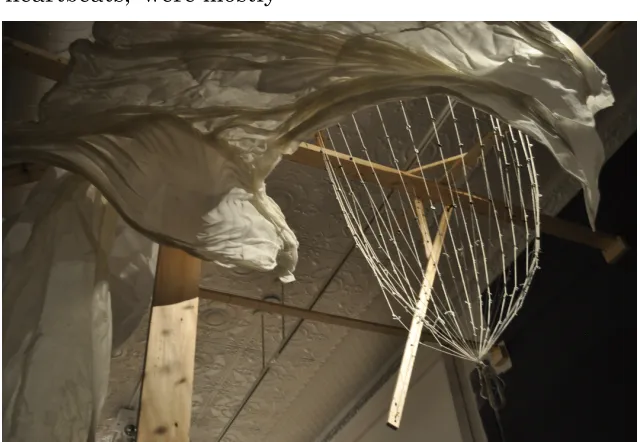 Fig. 17. Large "Heartbeat" structure in construction phase. The 