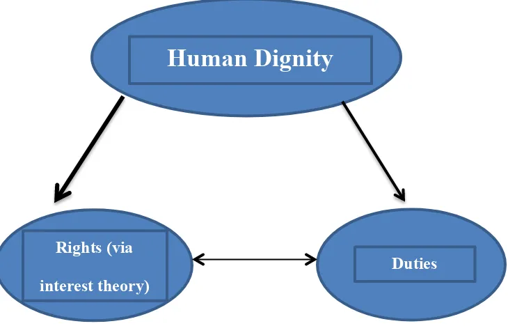 Figure 6: Dignity, Rights, and Duties: 