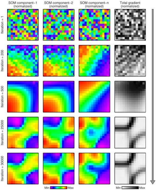 Figure 5 Development of the self-organizing map (SOM) during iterative learning. Rows correspond to different integration steps