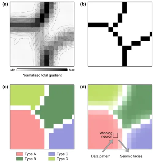 Figure 6 (a) Gradient function after training. (b) A watershed segmentation algorithm is used to determine borders between regions of low gradient values