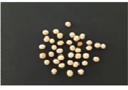 Fig. 1. The process of Counting and Separating Damaged Seeds of Soybean Seeds 