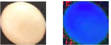 Fig. 8.  