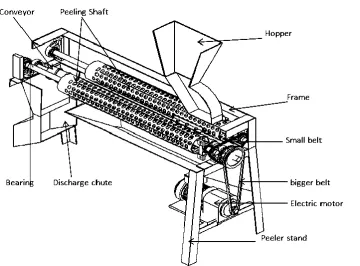 Figure 1: Cut-away of type 3 cassava peeling machine 