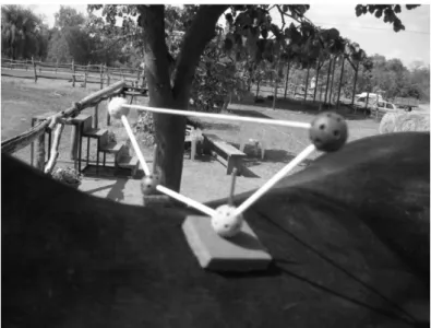 Figure 2. The trapezoid frame markers representing the human pelvis model  of the rider 