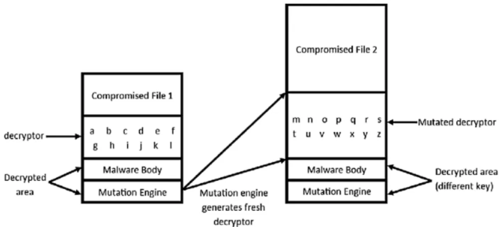 Fig. 2 shows a polymorphic malware in each cycle.