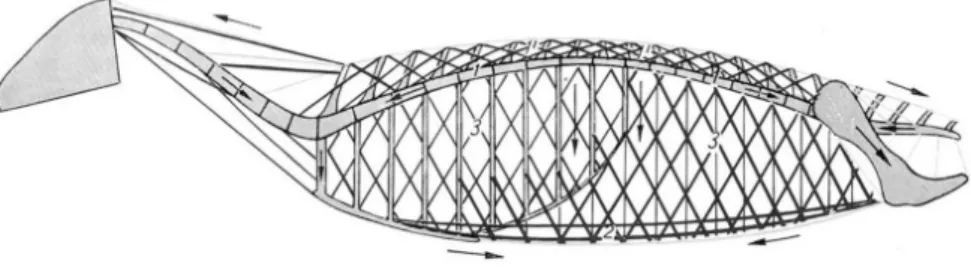 Fig. 4 “The bow and string theory” by Slijper (1946) (Modified from: Nickel et al. 