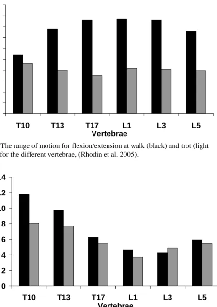 Fig. 5 The range of motion for flexion/extension at walk (black) and trot (light  grey), for the different vertebrae, (Rhodin et al