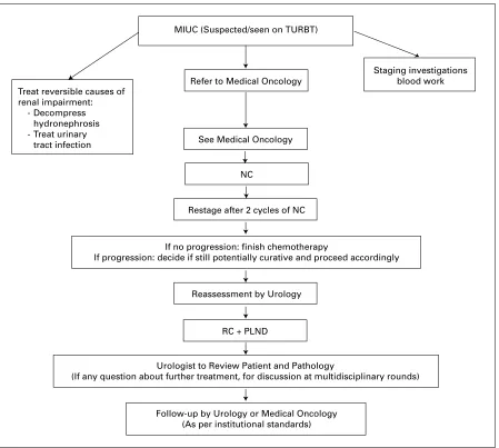 Fig. 1. Patient flow from initial transurethral resection of bladder tumour to follow-up with a target timelines