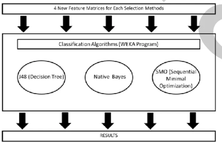Fig. 3. Graph with 3 classification algorithms 