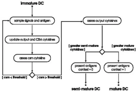 Fig. 1  Activity diagram is representing the key features of DC biologically.  The processes on the left occur in the tissue, on the right on the lymph node [24]  
