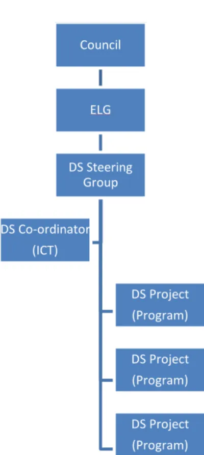Figure 1. Governance structure 
