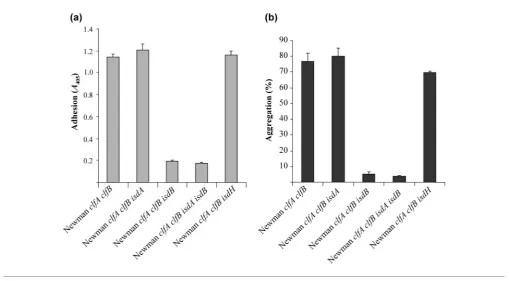 Fig. 2. Characterization of Newmanindicated were grown to stationary phase in RPMI. Cell-wallproteins were solubilized by lysostaphin digestion, separated on7.5 % SDS-PAGE gels and electroblotted onto PVDF membranes.Membranes were probed with polyclonal an