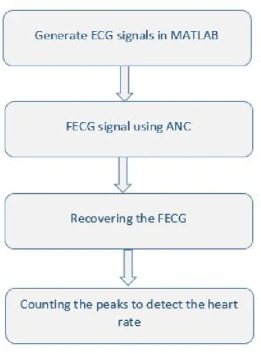Figure 2.2: Algorithm for FECG Extraction