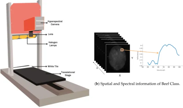 Figure 1. Laboratory protocol (Specim Fx 10) used in this study for minced meat data acquisition.