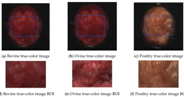 Figure 3. Comparison between pre-processed spectrum (Smoothing spectrum) and computed spectrum (normal spectrum) of Bovine minced meat.