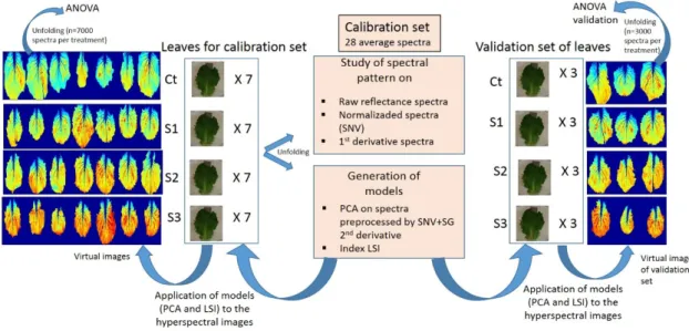 Figure 2. Scheme of the methodology followed for the computation and validation of both models developed.