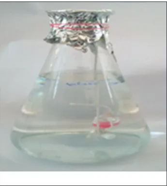 Fig. 2: Treatment of Kappaphycus alvarezii in sodium phosphate buffer
