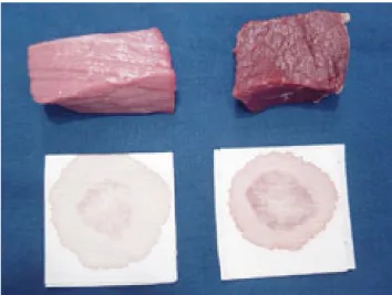 Fig. 4: Fresh meat cut (beef) with  intense red meat colour 