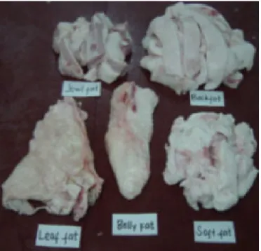 Fig. 11: Jowl fat removed  from pig head (a) and cut into  strips (b). Behind: Rest of  pork carcass with back fat 