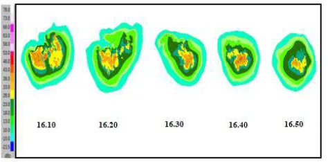 Fig. 21 Mature stage of convective cloud in second step (The black  circle shows the cell who produce heavy rain) 