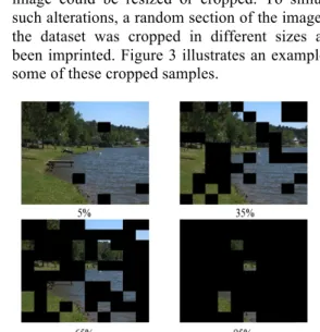 Figure 2: Sample of a modified multiple parts  of an image