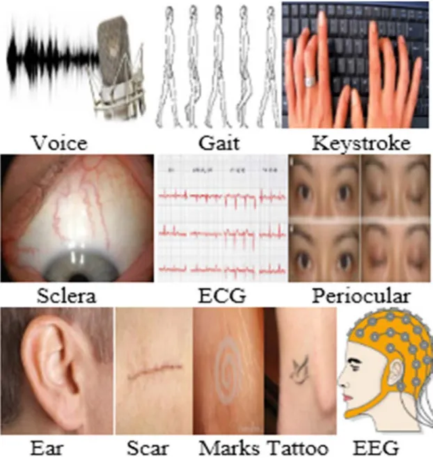 Figure 4. Multimodal Biometrics. 