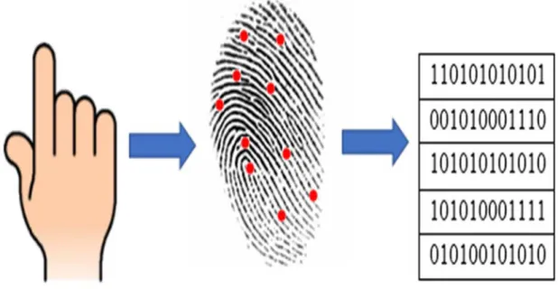 Figure 6. Image processing method. 