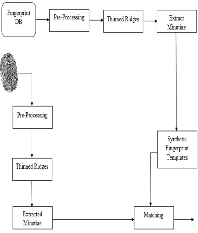 Figure 8. Fingerprint Recognition using standardized fingerprint model. (source: 