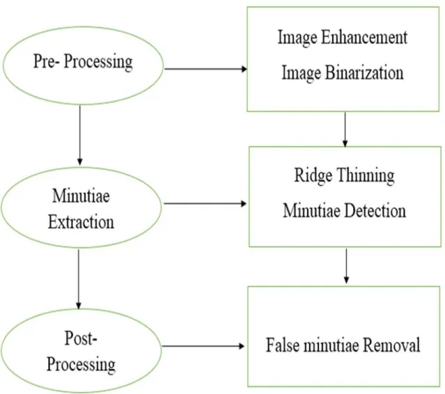 Figure 9. Fingerprint Recognition Steps.