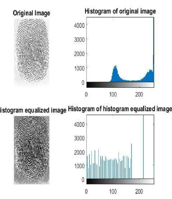 Figure 10. Histogram Equalization model for fingerprint image. 
