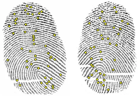 Fig. 2. Examples of fingerprint images of different individuals with respective minutiae points