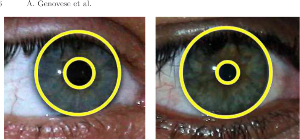 Fig. 3. Examples of images of the eyes of different individuals and their corresponding iris regions