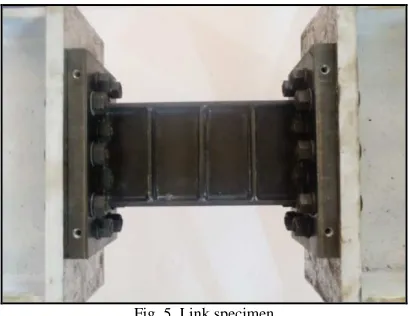 Fig. 5  Link specimen 