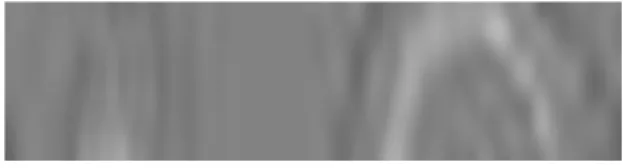 Figure 2:  Normalized Iris Image 