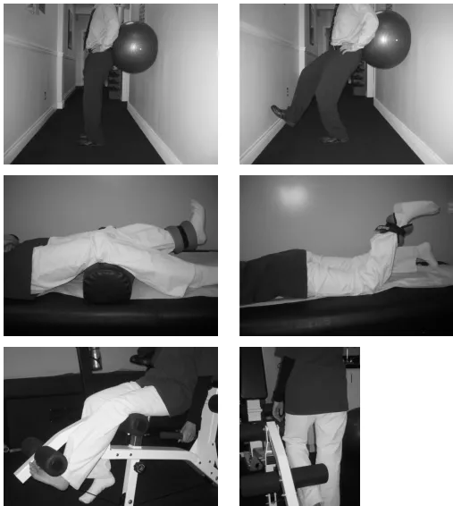 Figure 3Close chain wall squats followed by open chain quadriceps and hamstring training