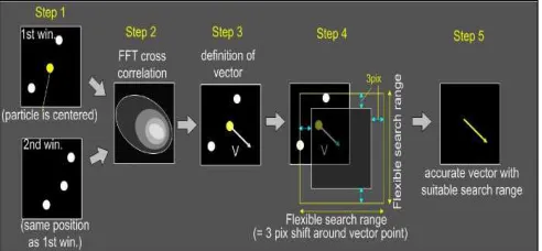 Fig. 3 Experimental models 