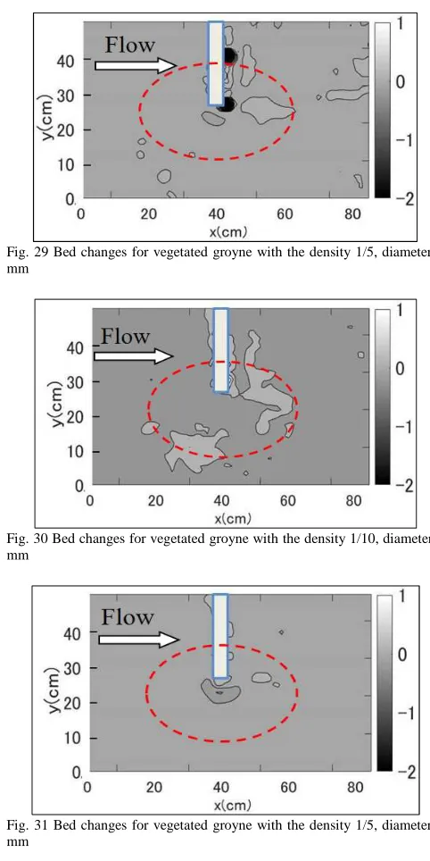 Fig. 29 Bed changes for vegetated groyne with the density 1/5, diameter 8  mm 