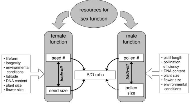 Figure 6.1   Empirical and hypothetical relationships between seed size, seed number, pollen  size, pollen number, and pollen-ovule ratio