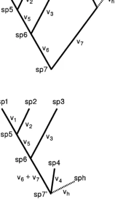 Figure 2: Illustration of rerooting a phylogenetic tree to predict the value for a hypothetical unmeasured species, designated as sph